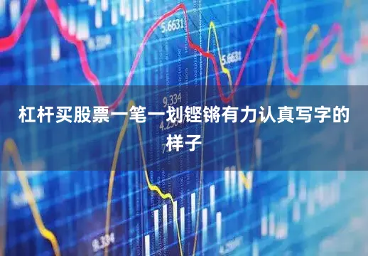 杠杆买股票一笔一划铿锵有力认真写字的样子