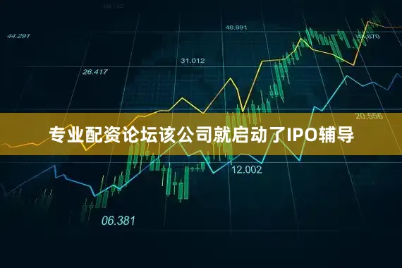 专业配资论坛该公司就启动了IPO辅导
