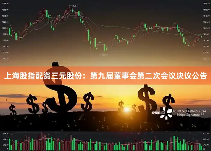 上海股指配资三元股份：第九届董事会第二次会议决议公告