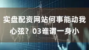实盘配资网站何事能动我心弦？03谁谓一身小