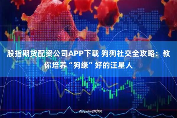 股指期货配资公司APP下载 狗狗社交全攻略：教你培养“狗缘”好的汪星人