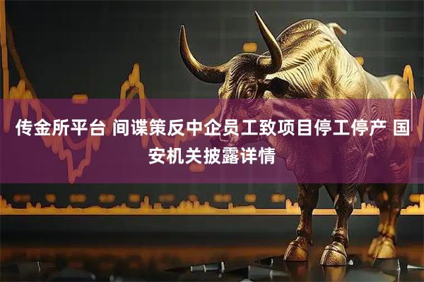 传金所平台 间谍策反中企员工致项目停工停产 国安机关披露详情