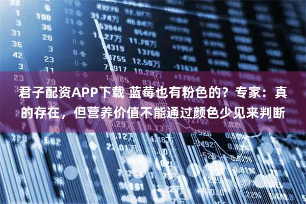 君子配资APP下载 蓝莓也有粉色的？专家：真的存在，但营养价值不能通过颜色少见来判断