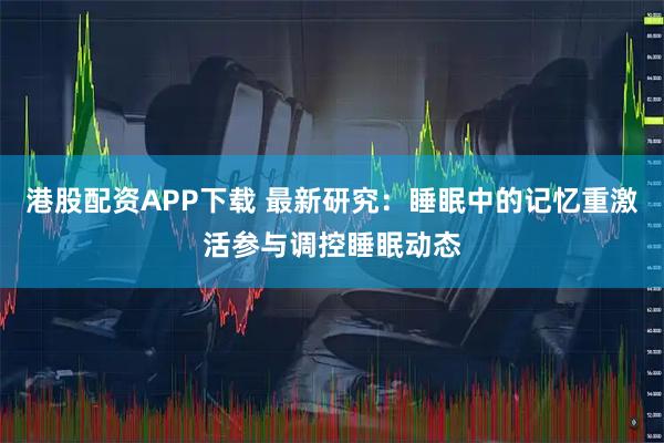 港股配资APP下载 最新研究：睡眠中的记忆重激活参与调控睡眠动态
